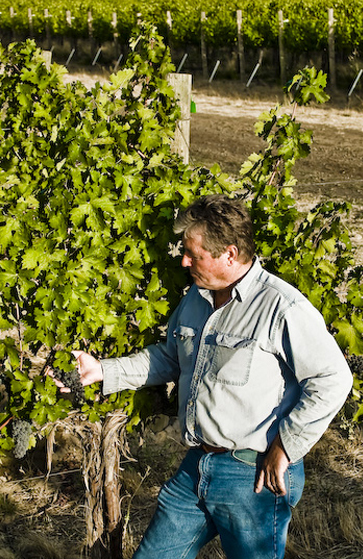 Tom in vineyard.jpg