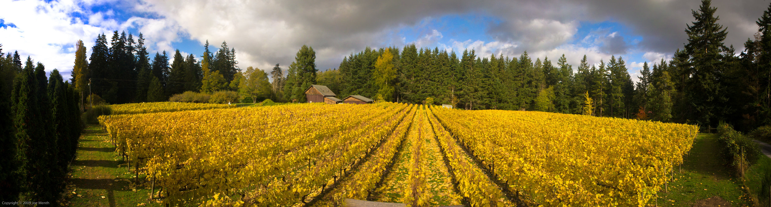 fall colors panorama.jpg