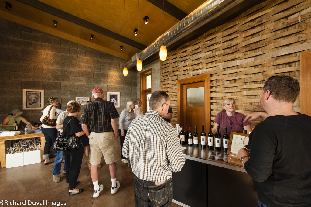 Busy Winery Shot.jpg