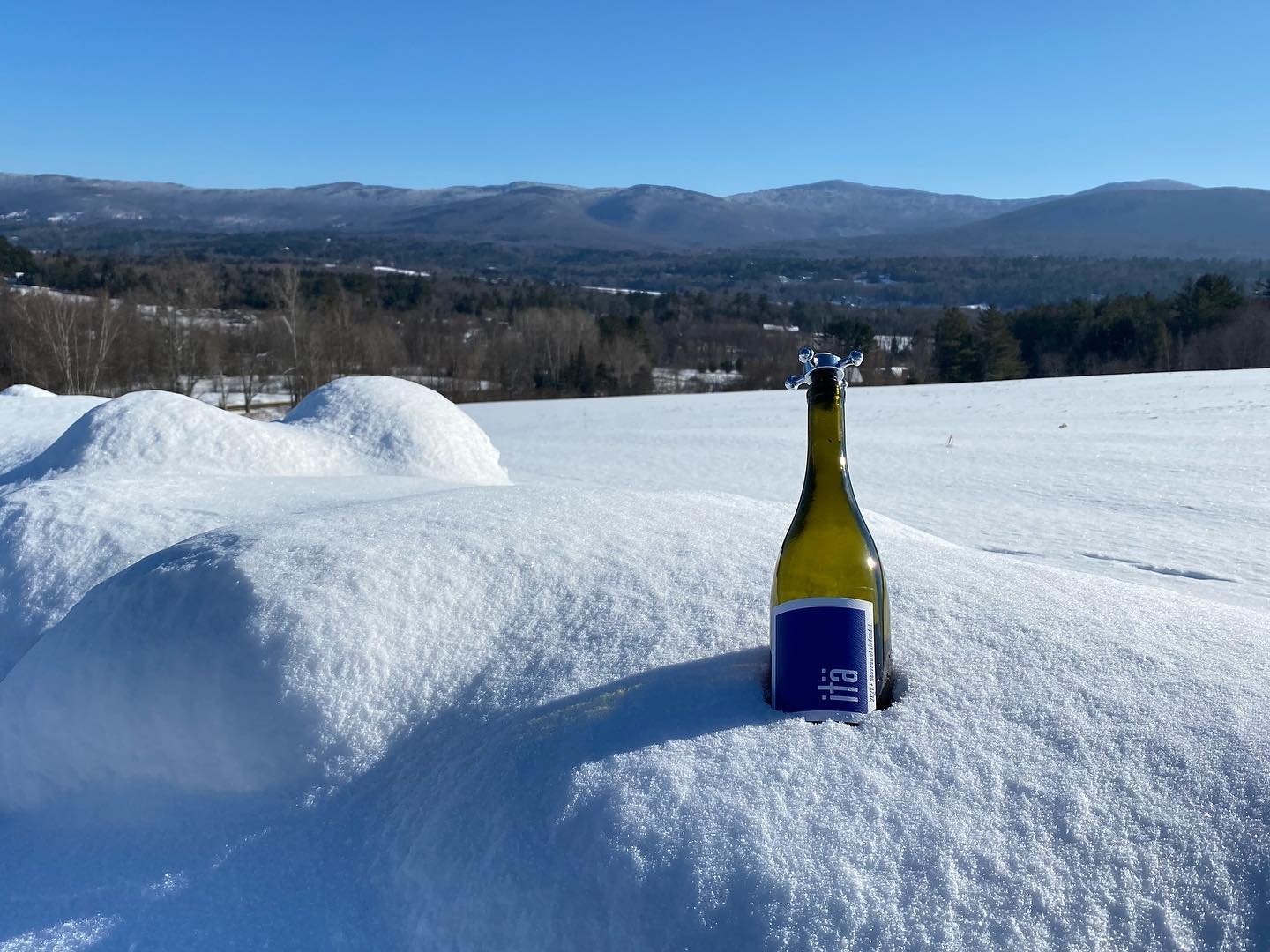 bottle in snow.jpg