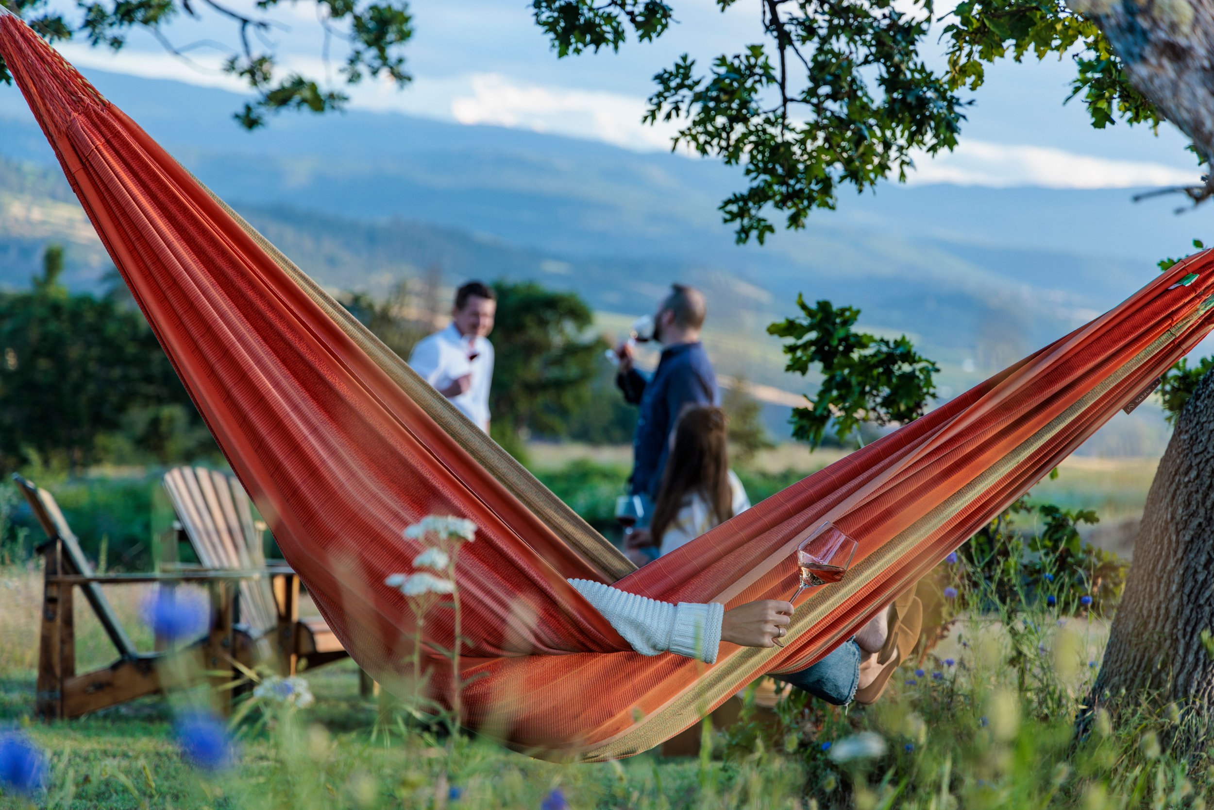 hammock.jpeg