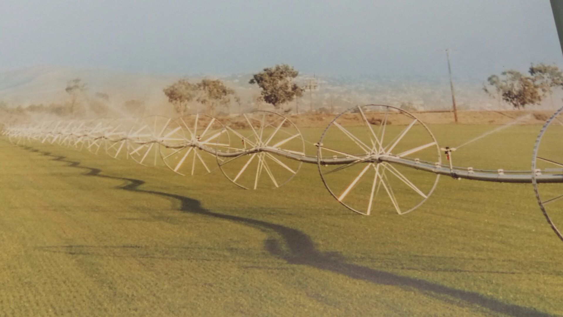 wheel line painting.jpg