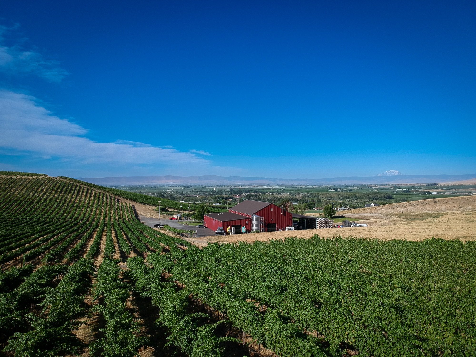 Owen Roe Winery — Lines On Wines