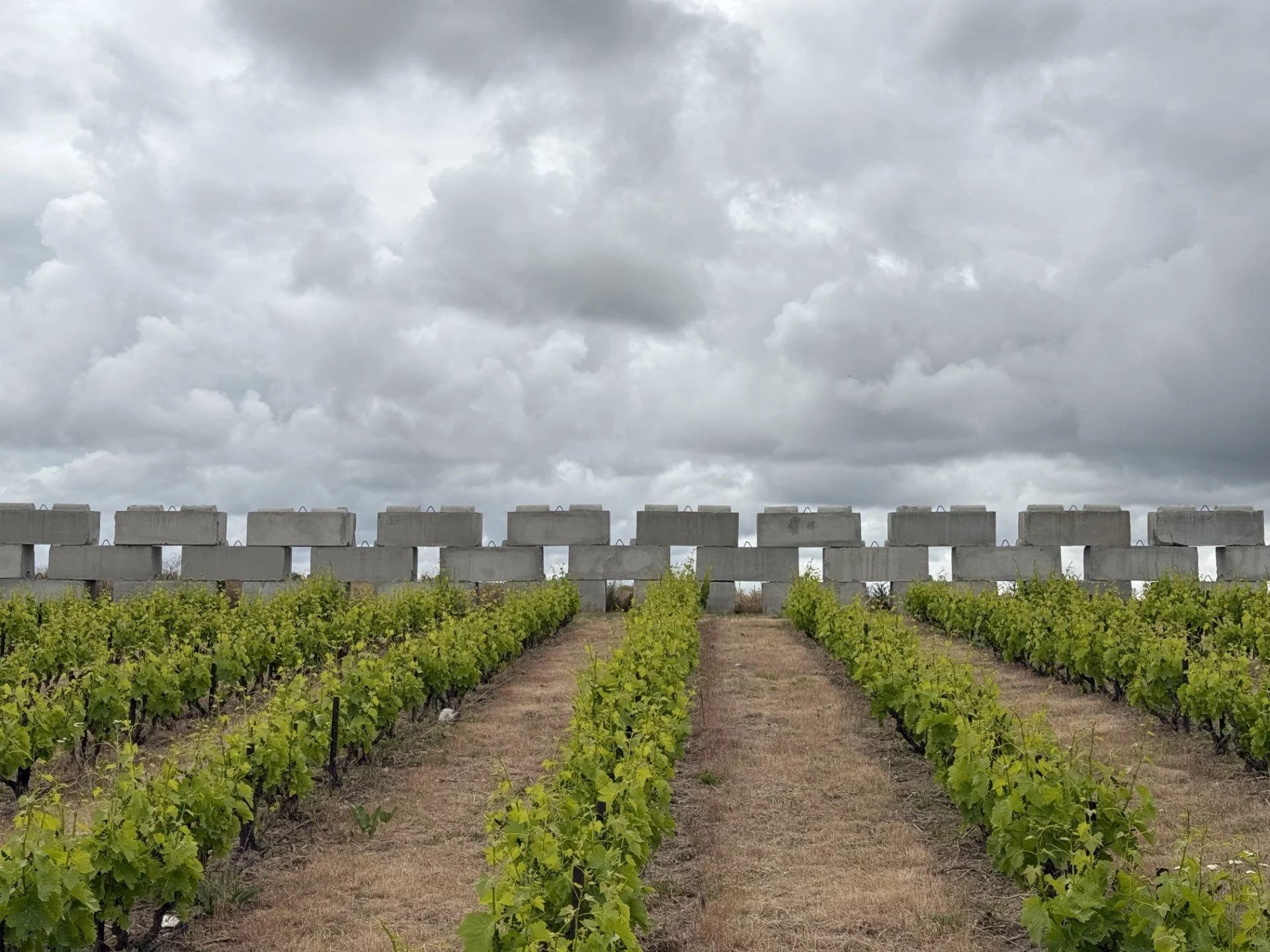 thumbnail_Rhonehenge Grenache.jpg