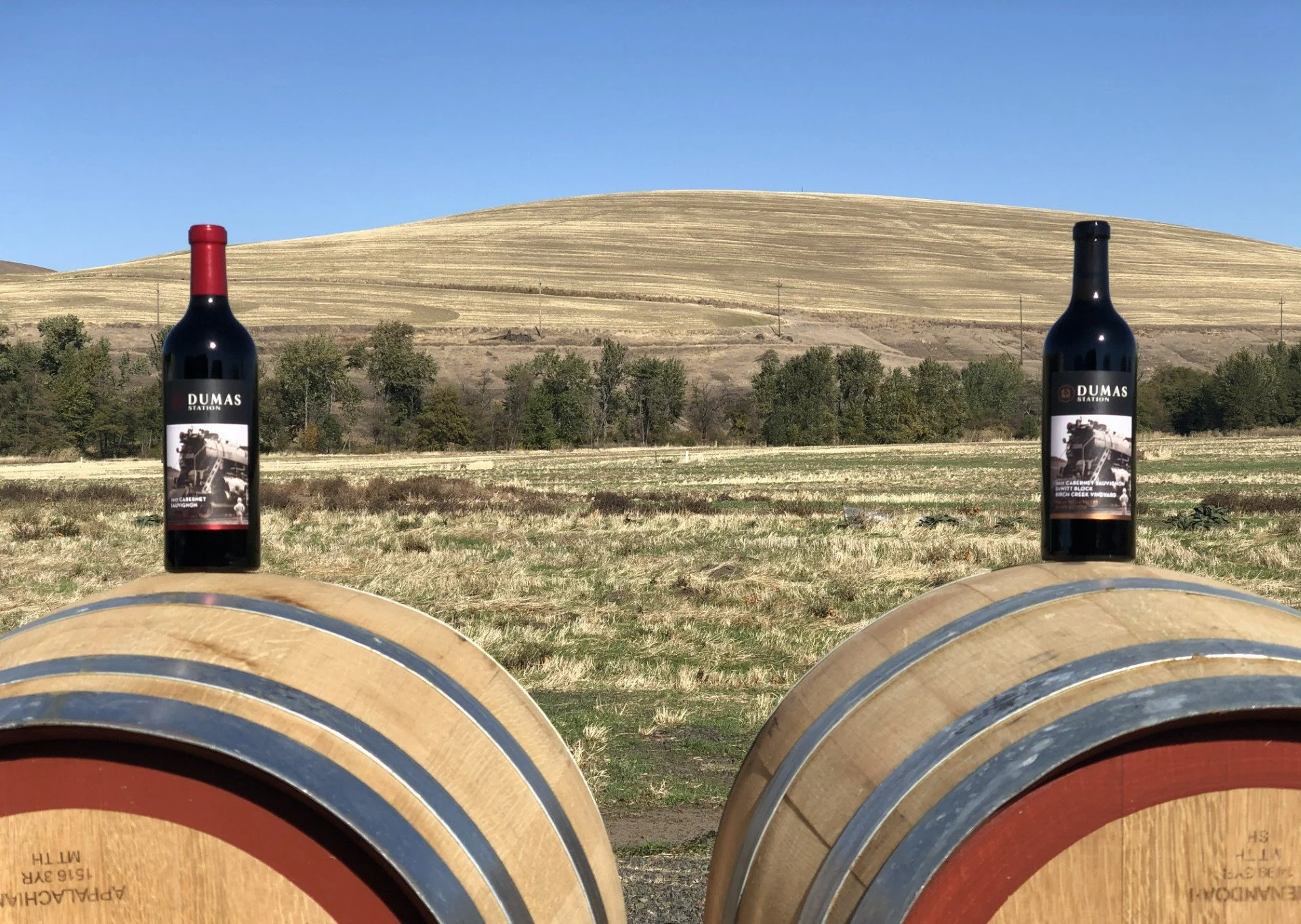 bots and barrels.jpg