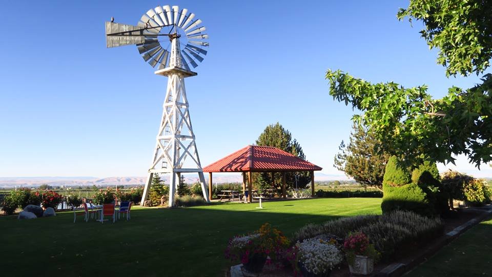windmill.jpg