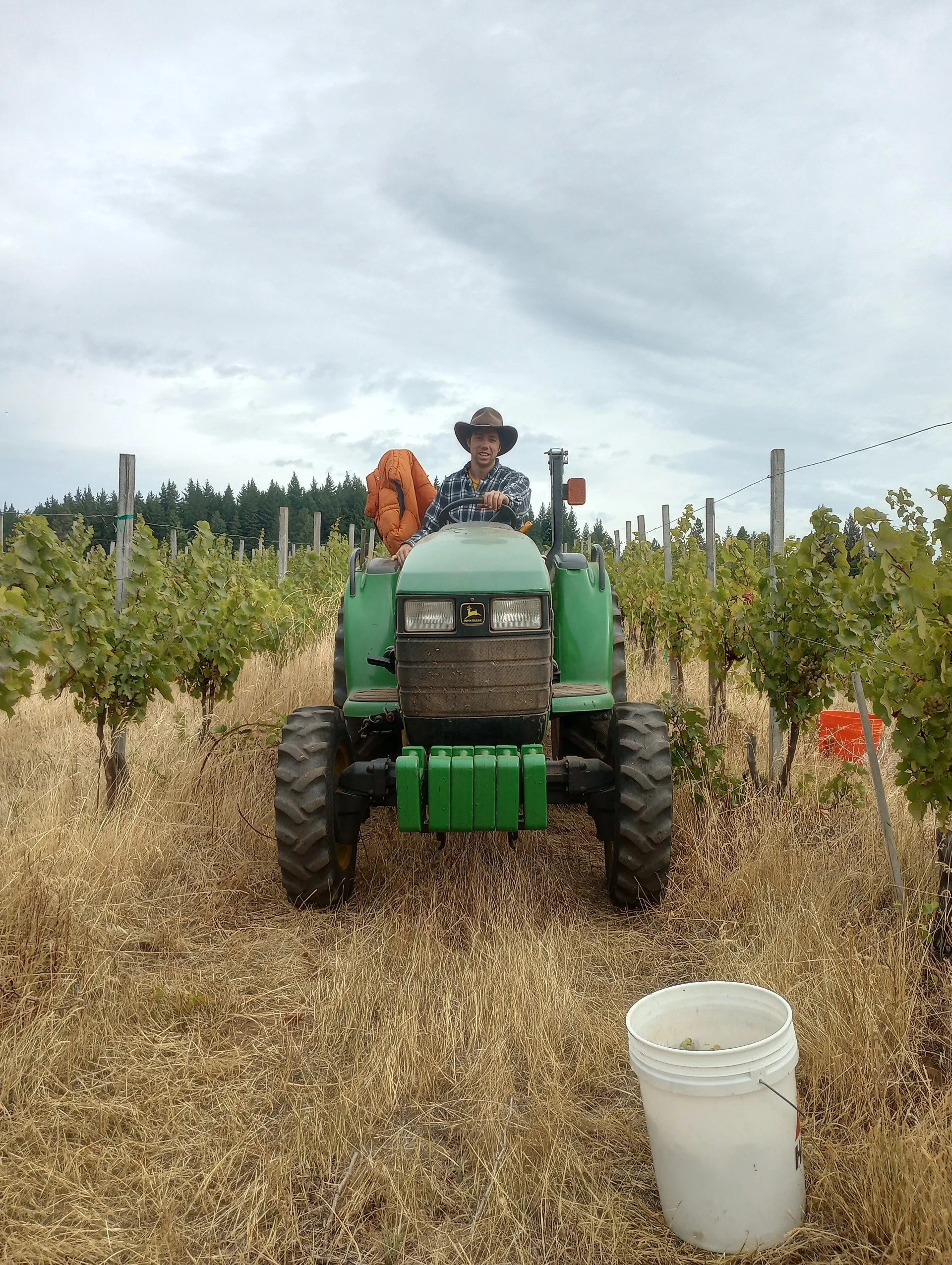 on tractor.jpg