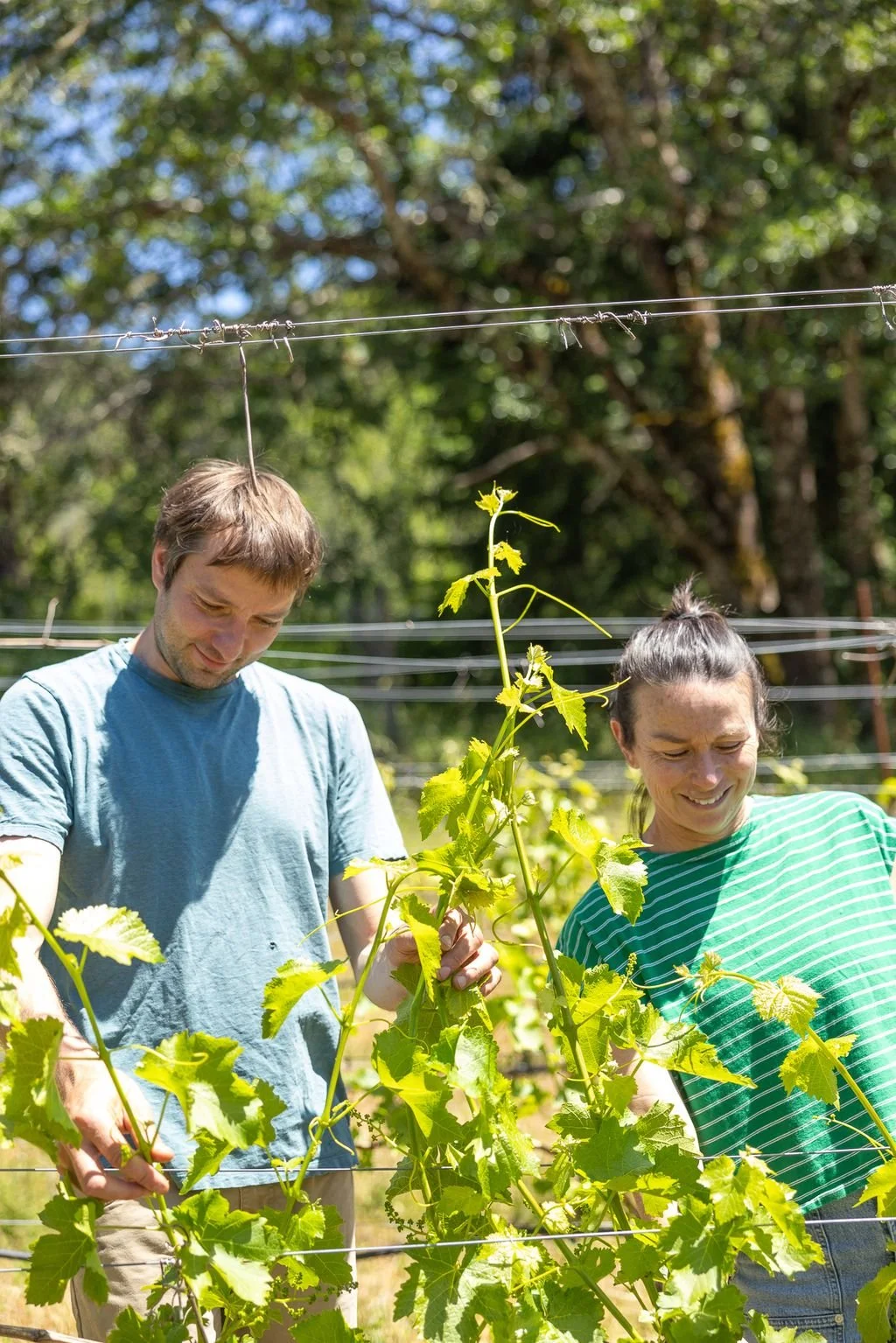 2 in vineyard.jpeg