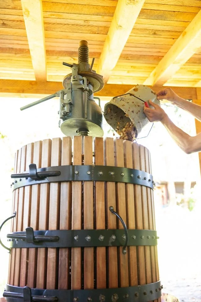 basket press.jpeg