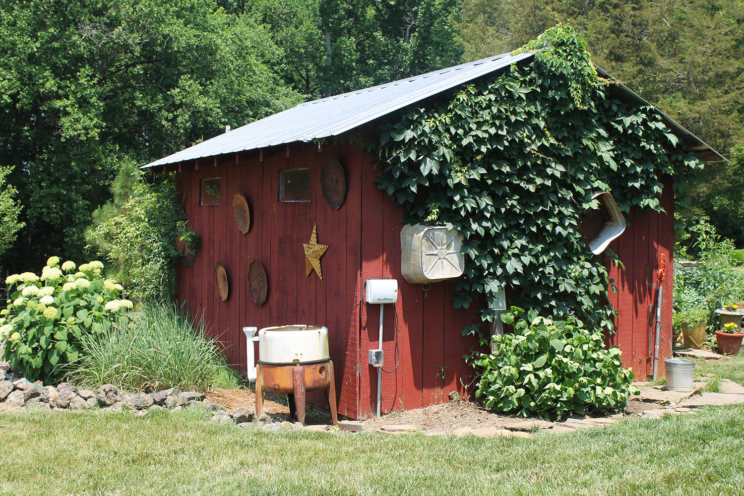 rustic-red-shed-with-ivy-and-flowers-antique-wash-tub-IMG_1434.jpg