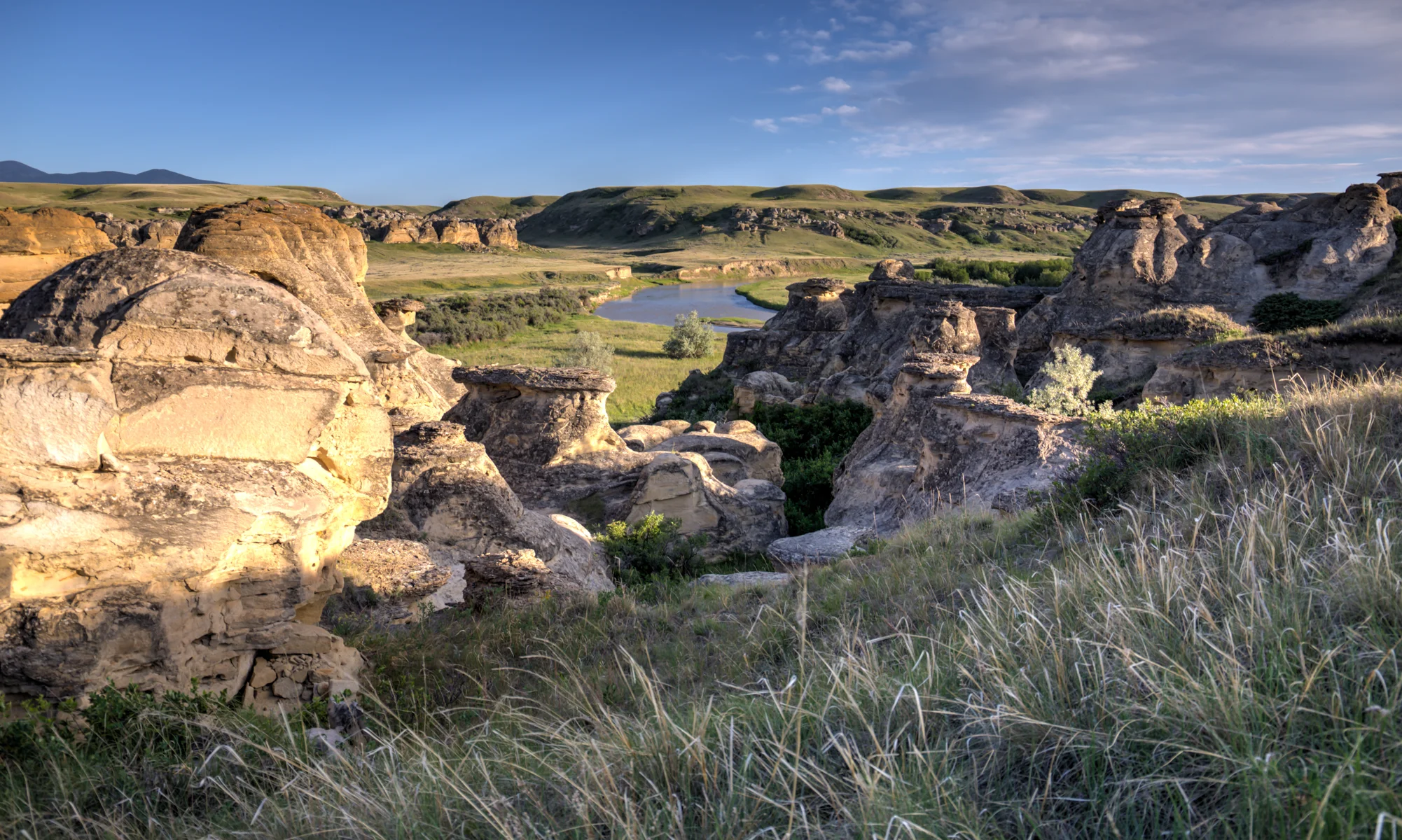 summer_alberta_2015_batch8_0006.jpg
