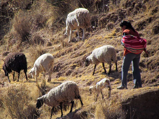 peru 102.jpg