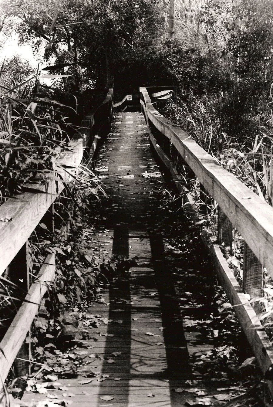 Footbridge copy.jpg