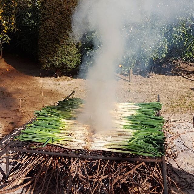 It's cal&ccedil;ots season! This Catalan delicacy is prepared on a fire of vine cuttings, and eaten with a romesco sauce. The fire can then be used to cook some lamb chops and butifarra - fresh sausage. The cal&ccedil;ots are only a first course afte