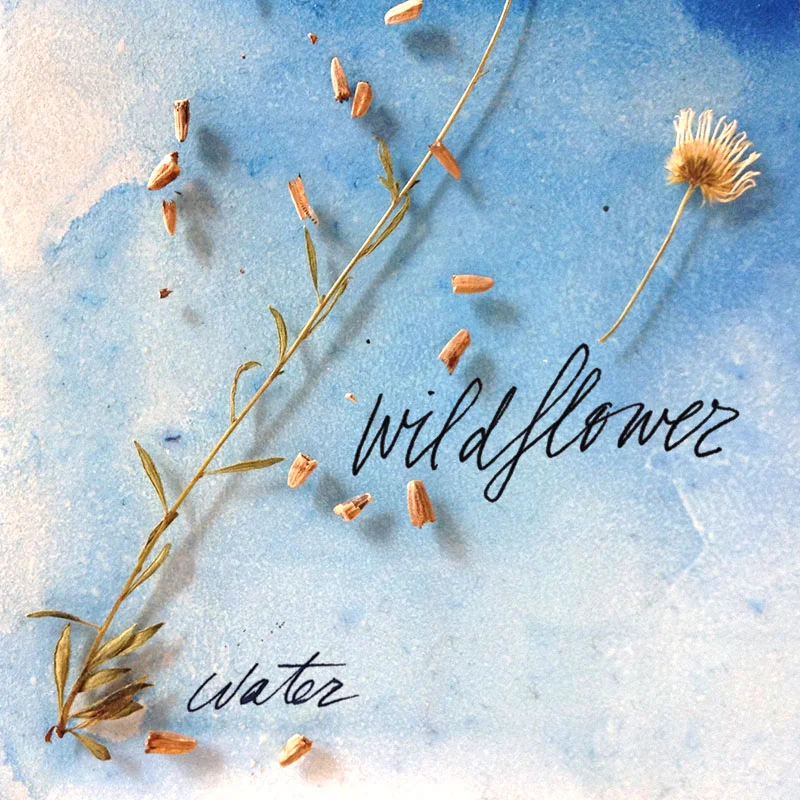 Water EP_Cover1.5_monitorRGB.jpg