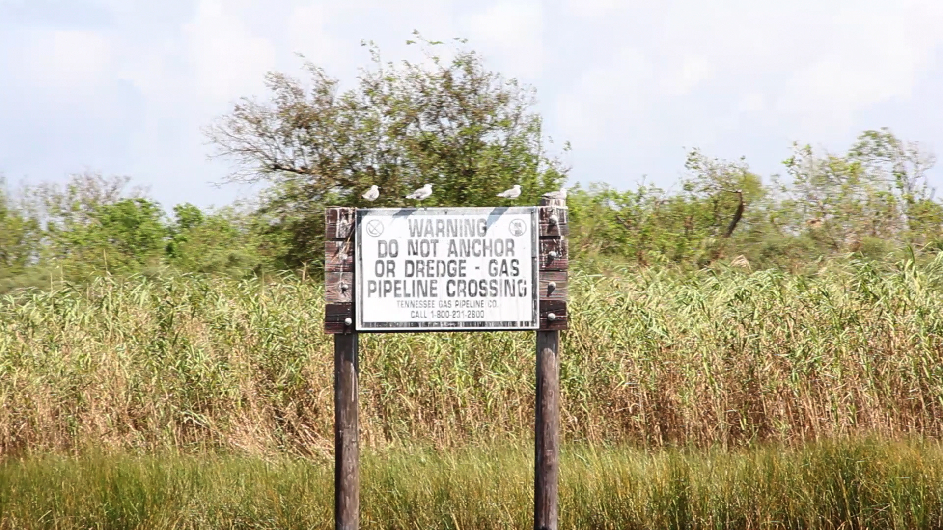 Lake Ponchtrain Basin Warning Sign.jpg