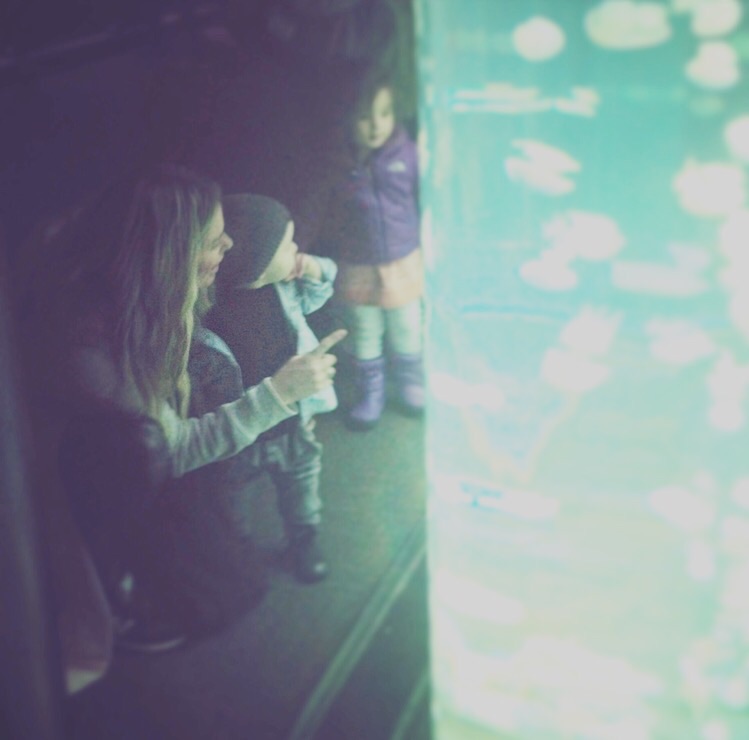 Checking out the fish at the Vancouvet Aquarium for the first time.
