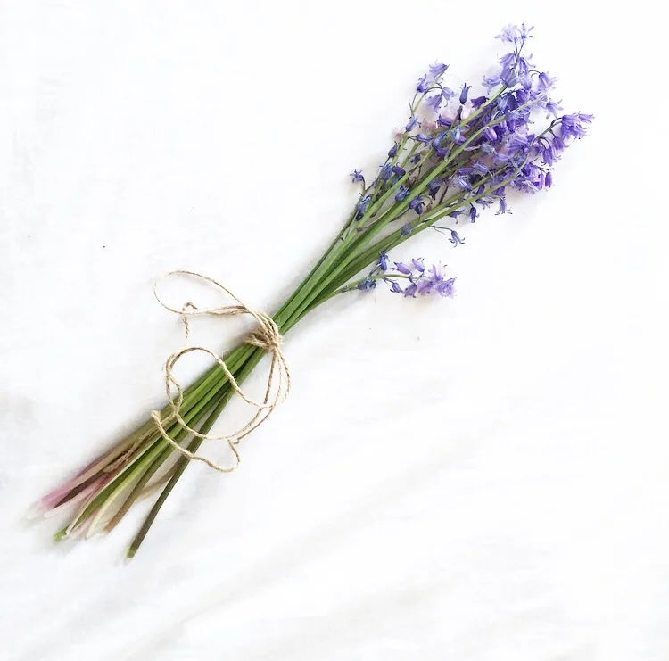 These are flowers handpicked by Hudson from just the other day.