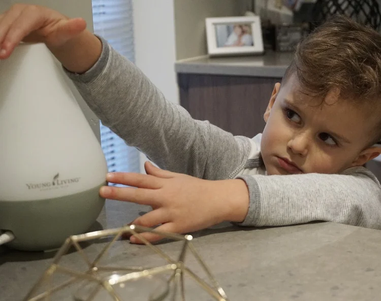 To get in the spirit of Christmas, Hudson and I chose the peppermint essential oil to permeate throughout our home in the weeks leading up to the holiday. 