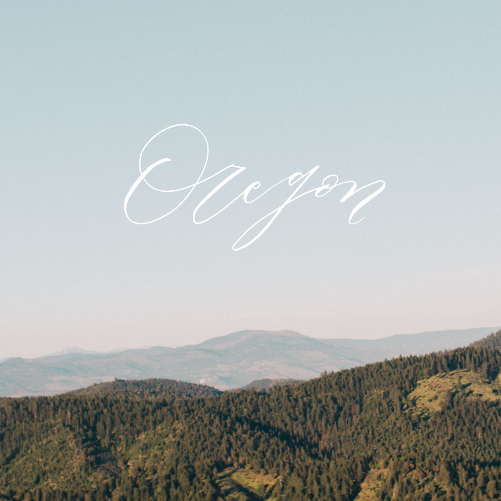 allieharringtonphotography-7075-copy.jpg
