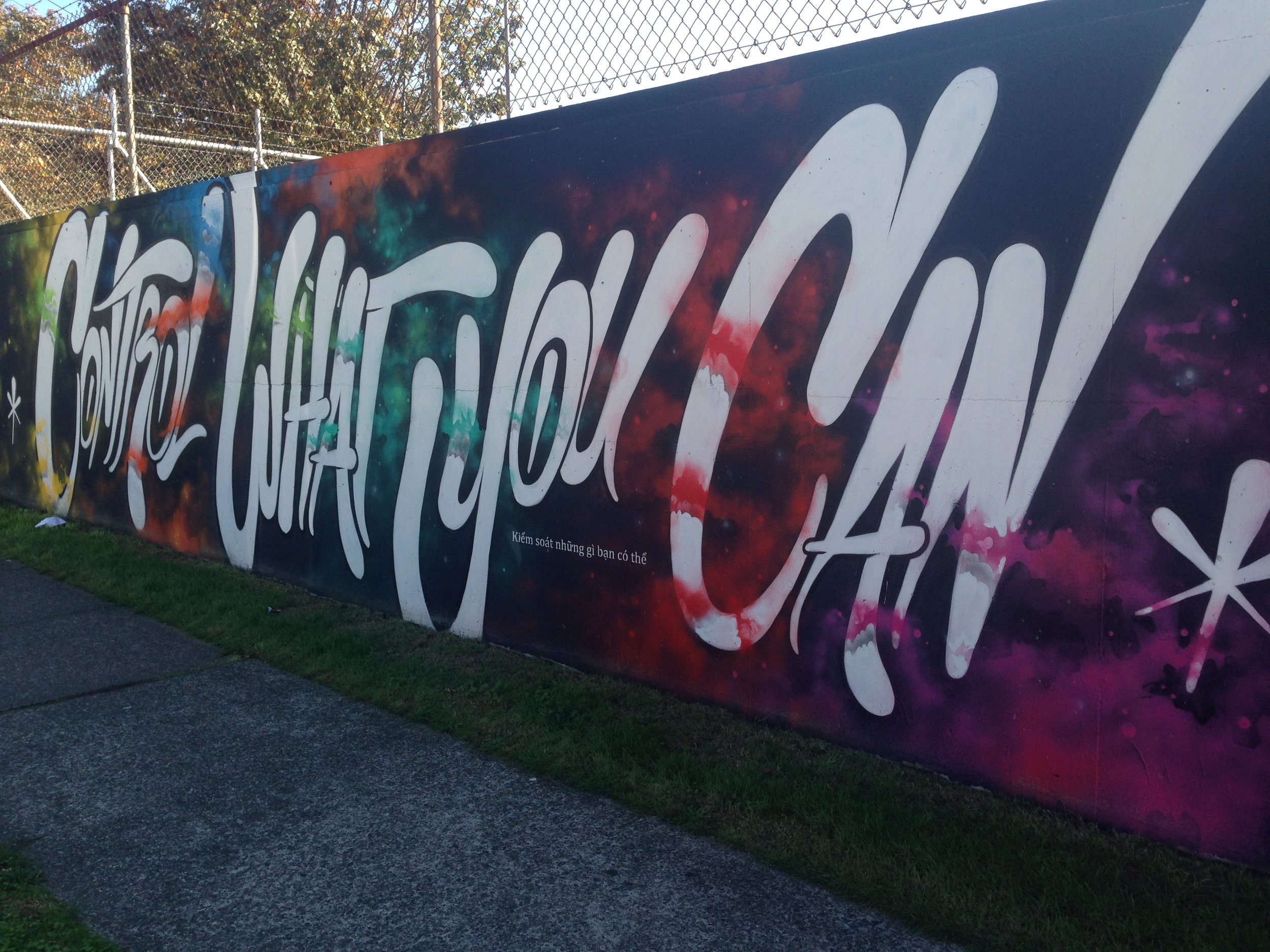 Spotted near my house only a few days ago! Thanks, Seattle.