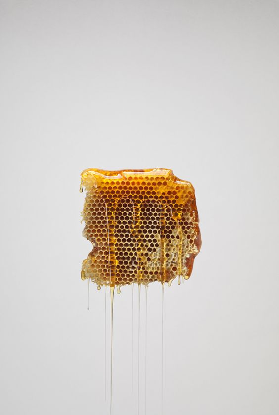 honey.jpg