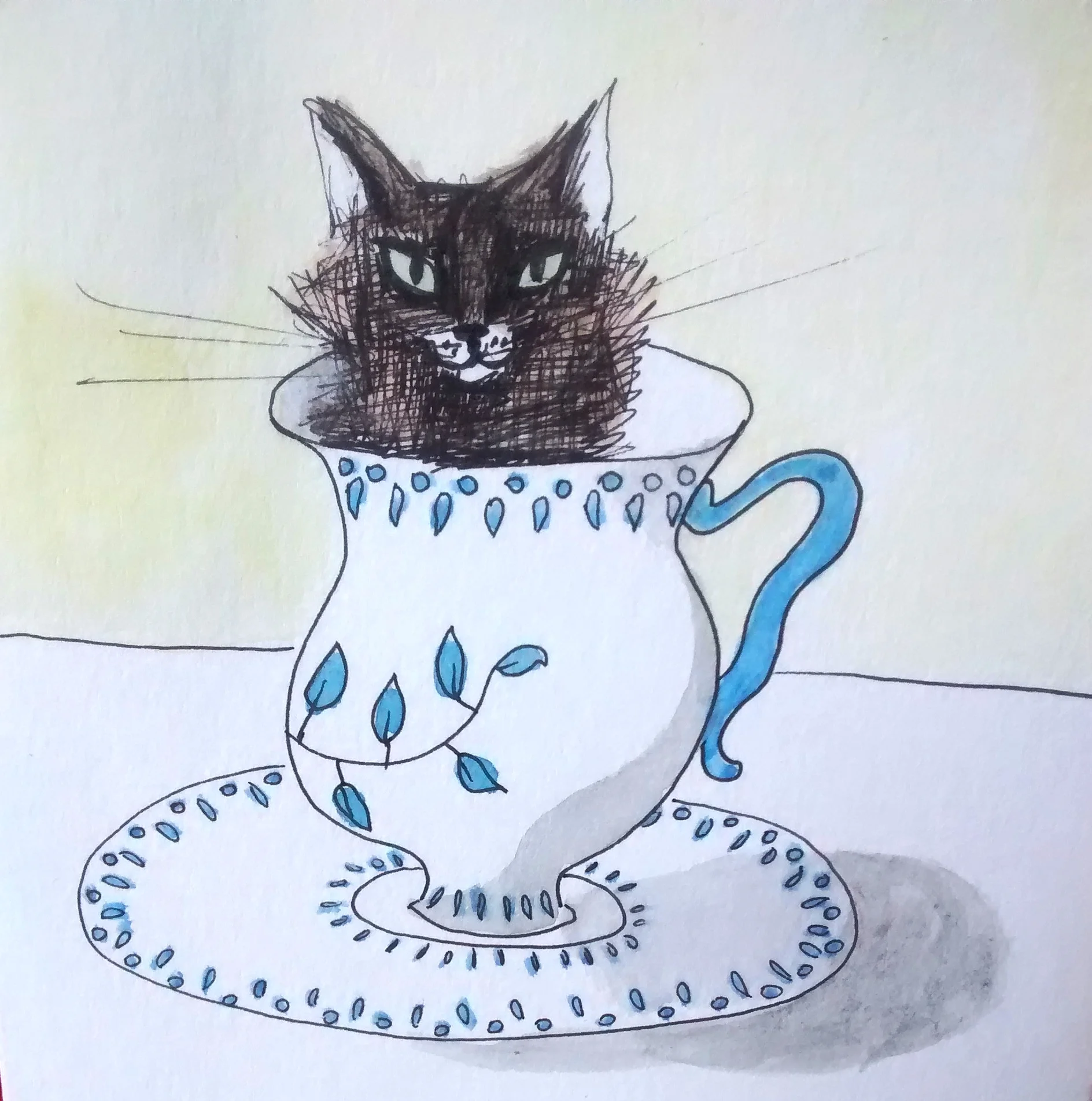 teacup kitty