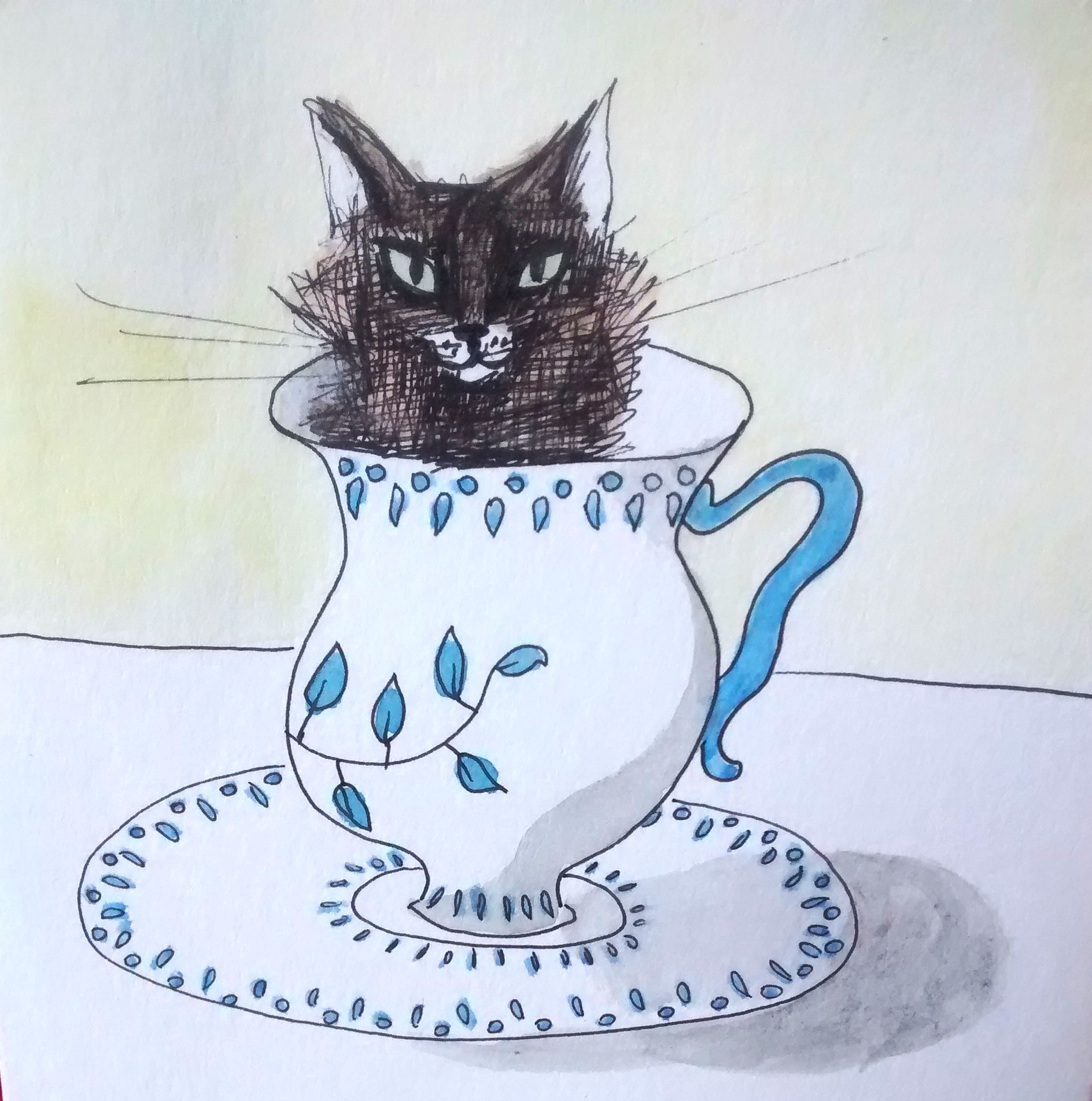 teacup kitty