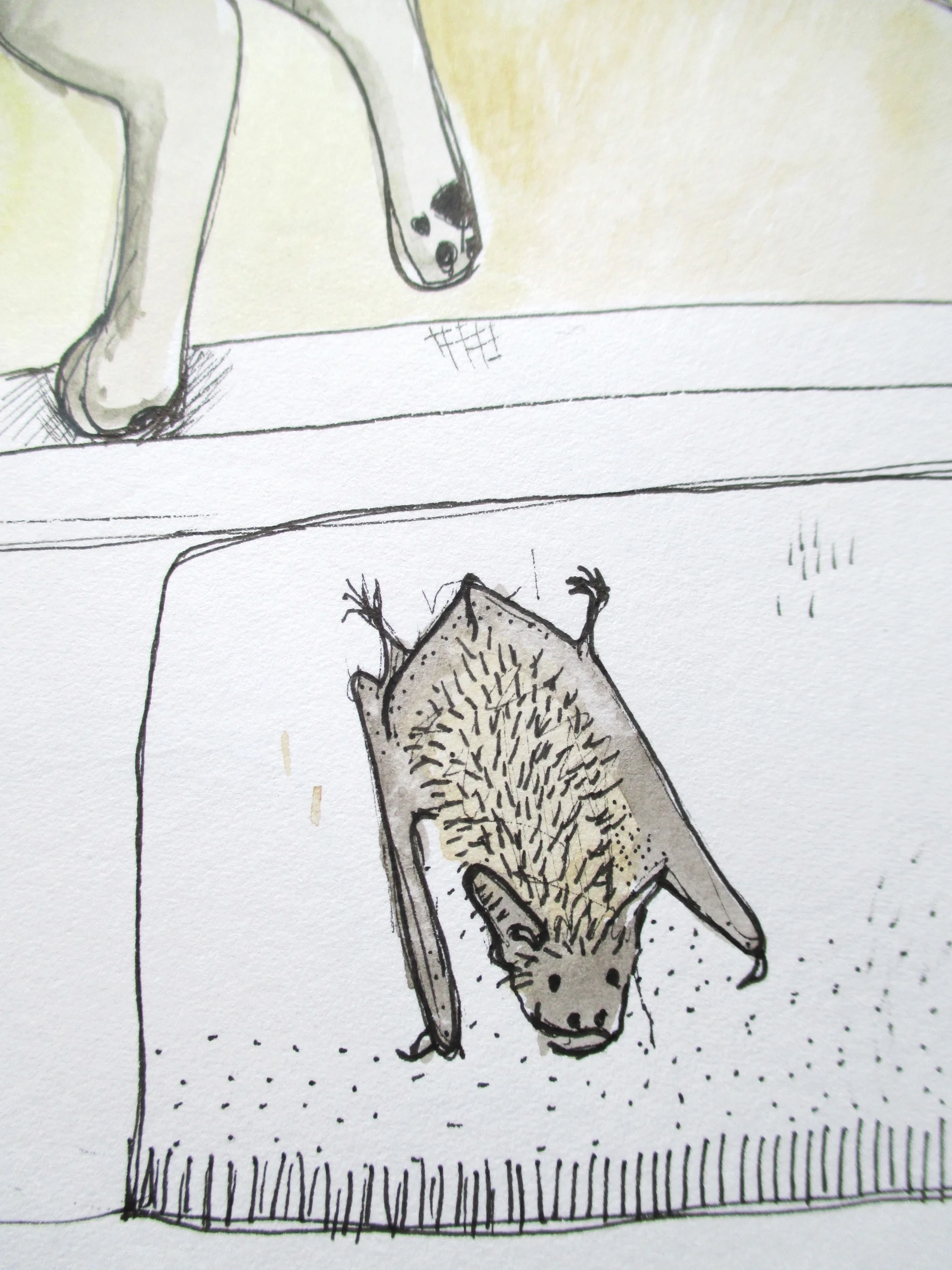 cat left bat on a mat