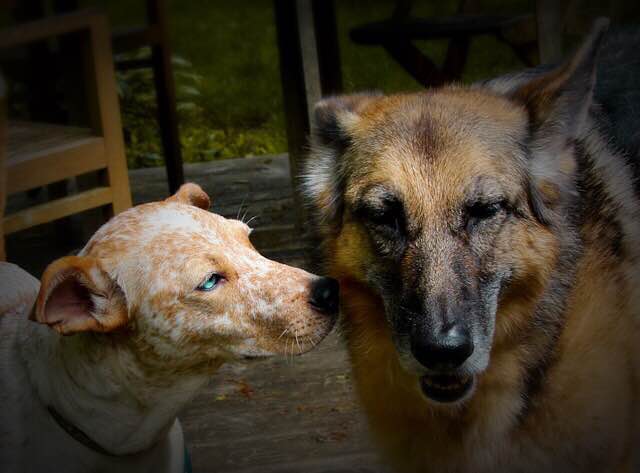 Gator & Becky