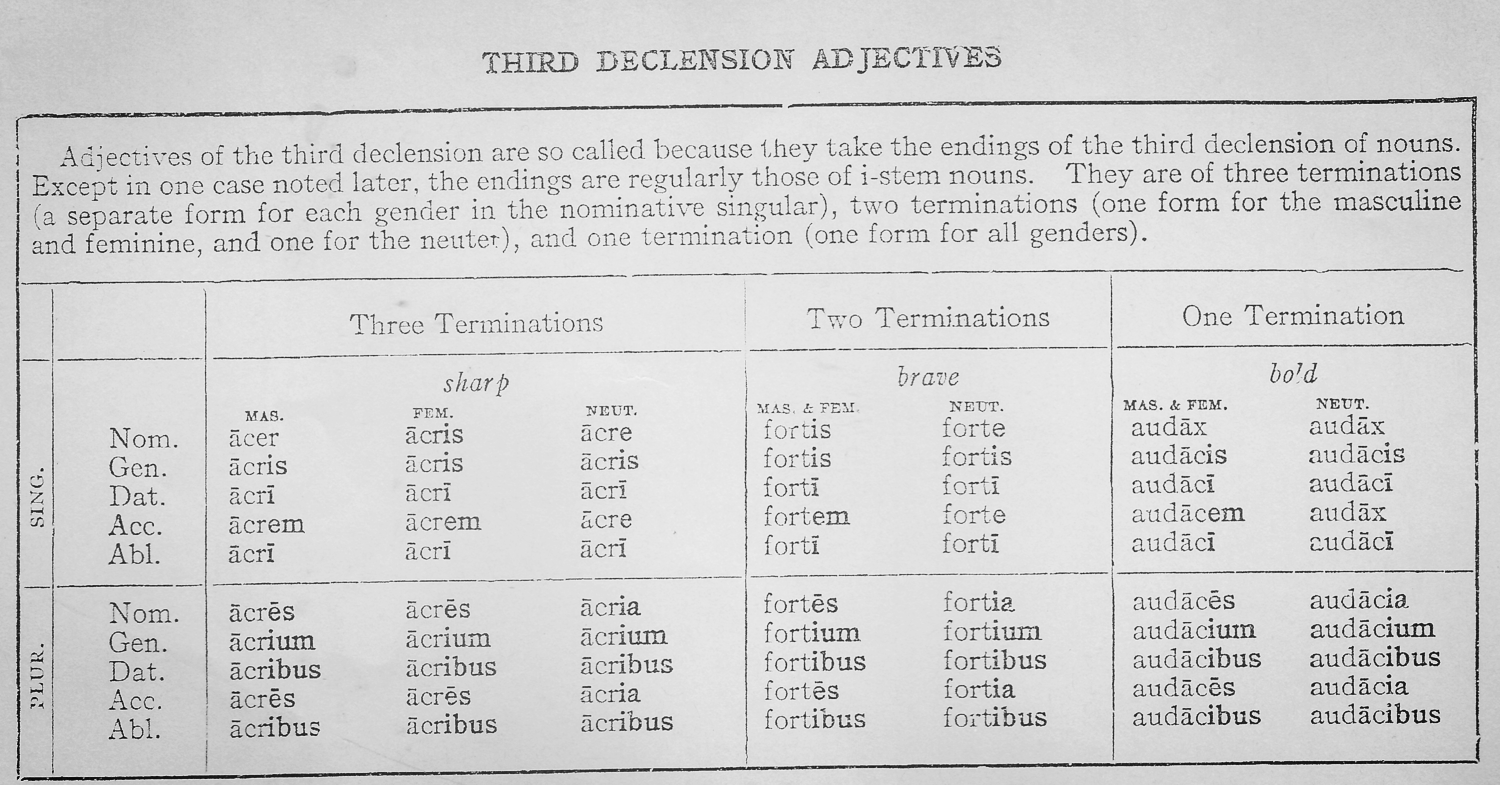 Latin Adjective Endings Chart