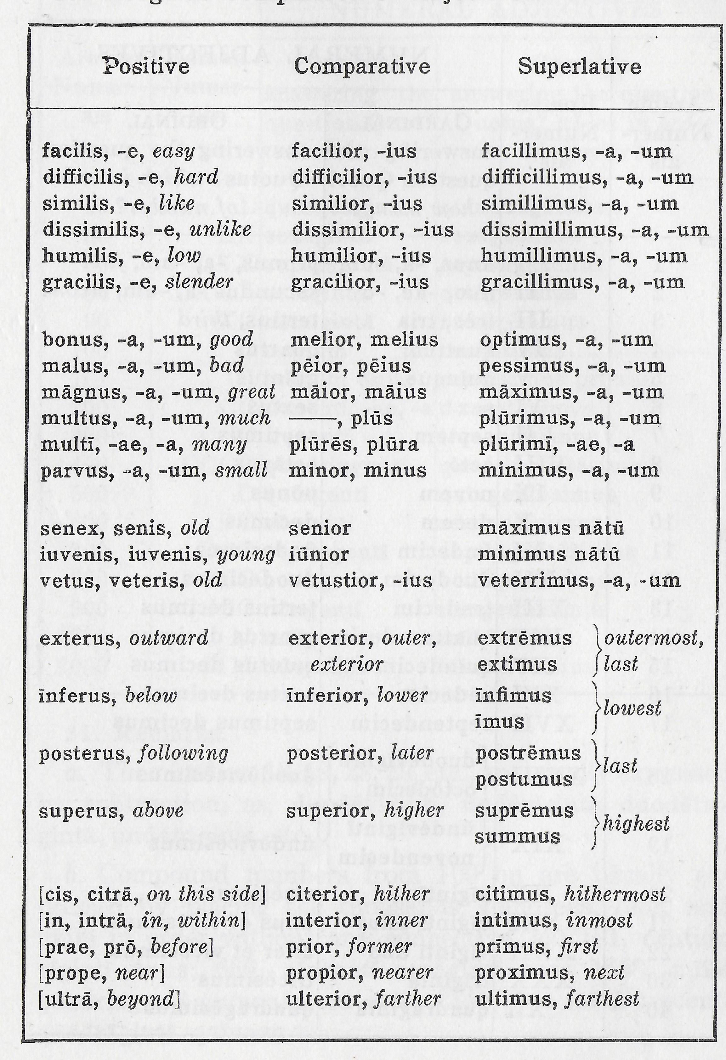 Latin Adjectives Chart