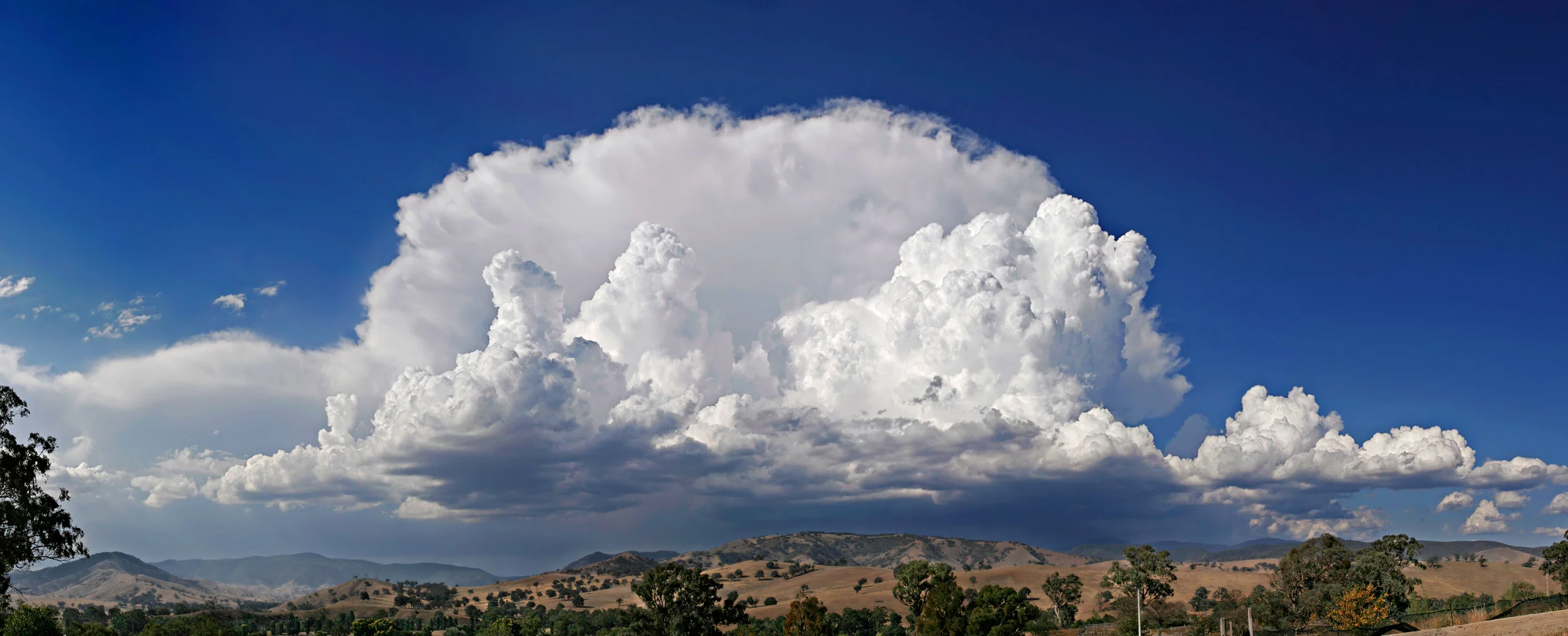 Nimbus Anvil_shaped_cumulus_panorama_edit.jpg