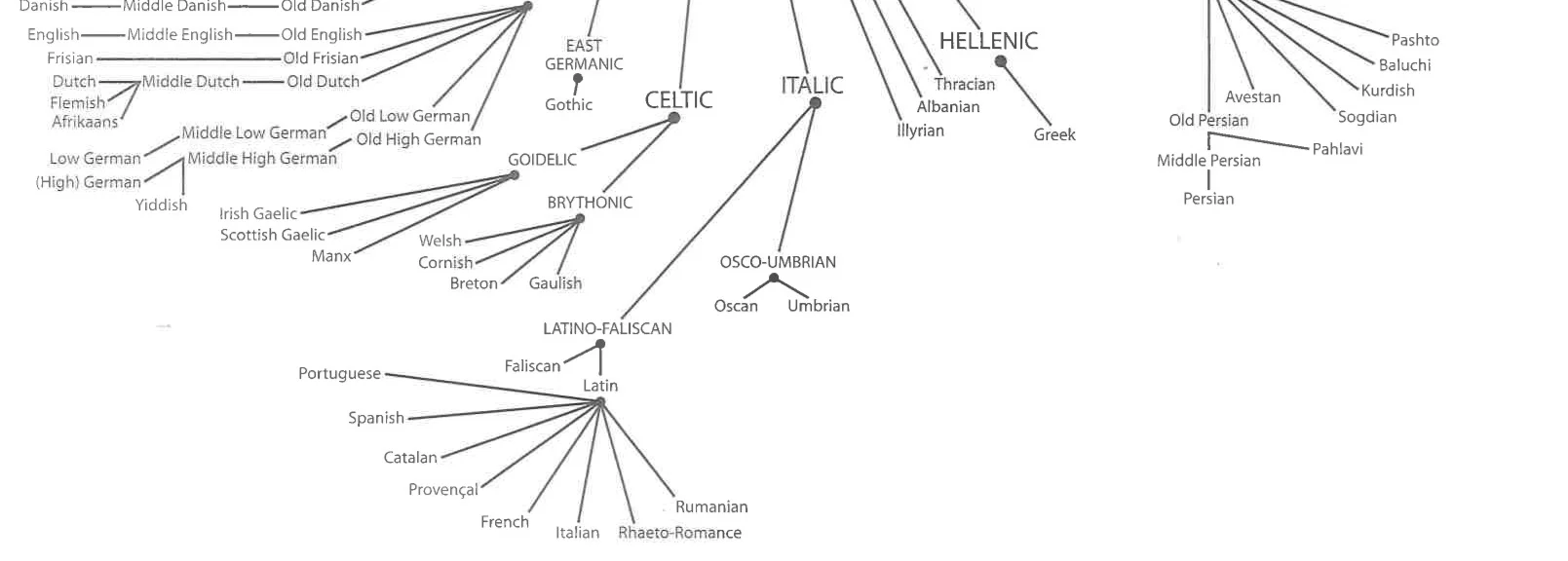 Indo-European Languages .jpg