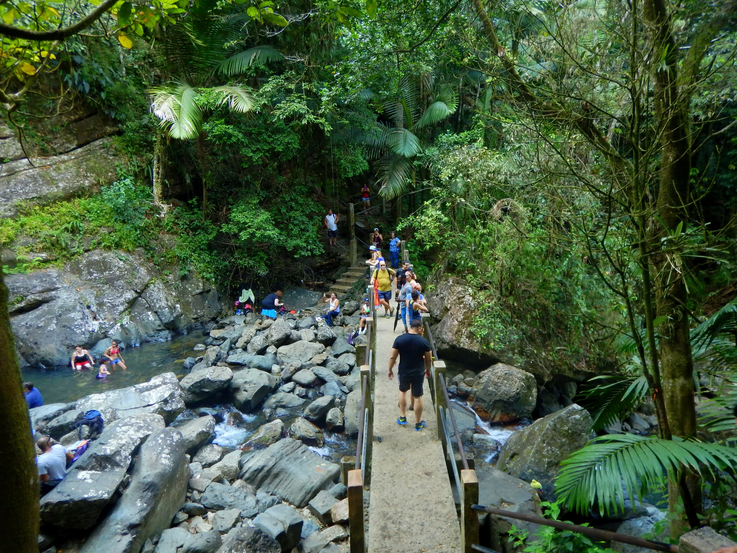 1-DSCN0490.JPG