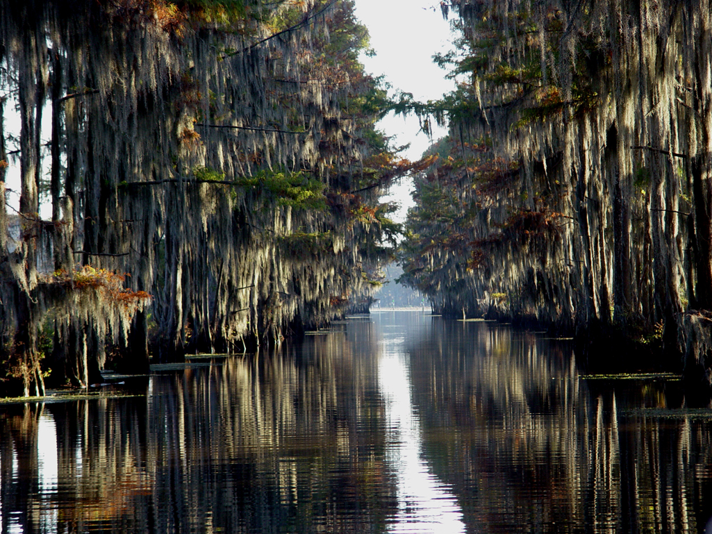 Caddo Lake. One of the most beautiful natural lakes in East Texas and Northwest Louisiana. 