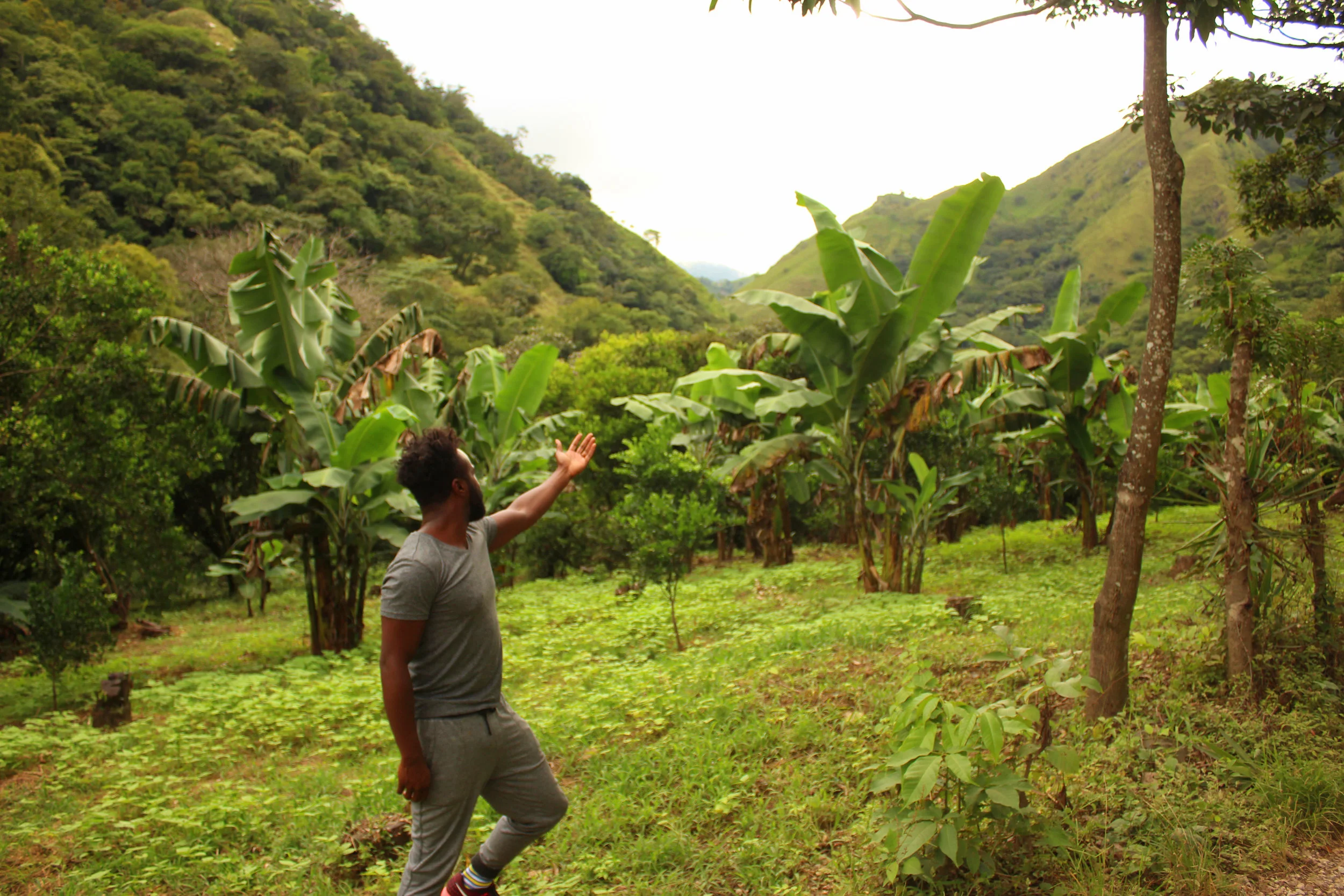 The Best Things To Do When Traveling To Costa Rica | Budget + Travel