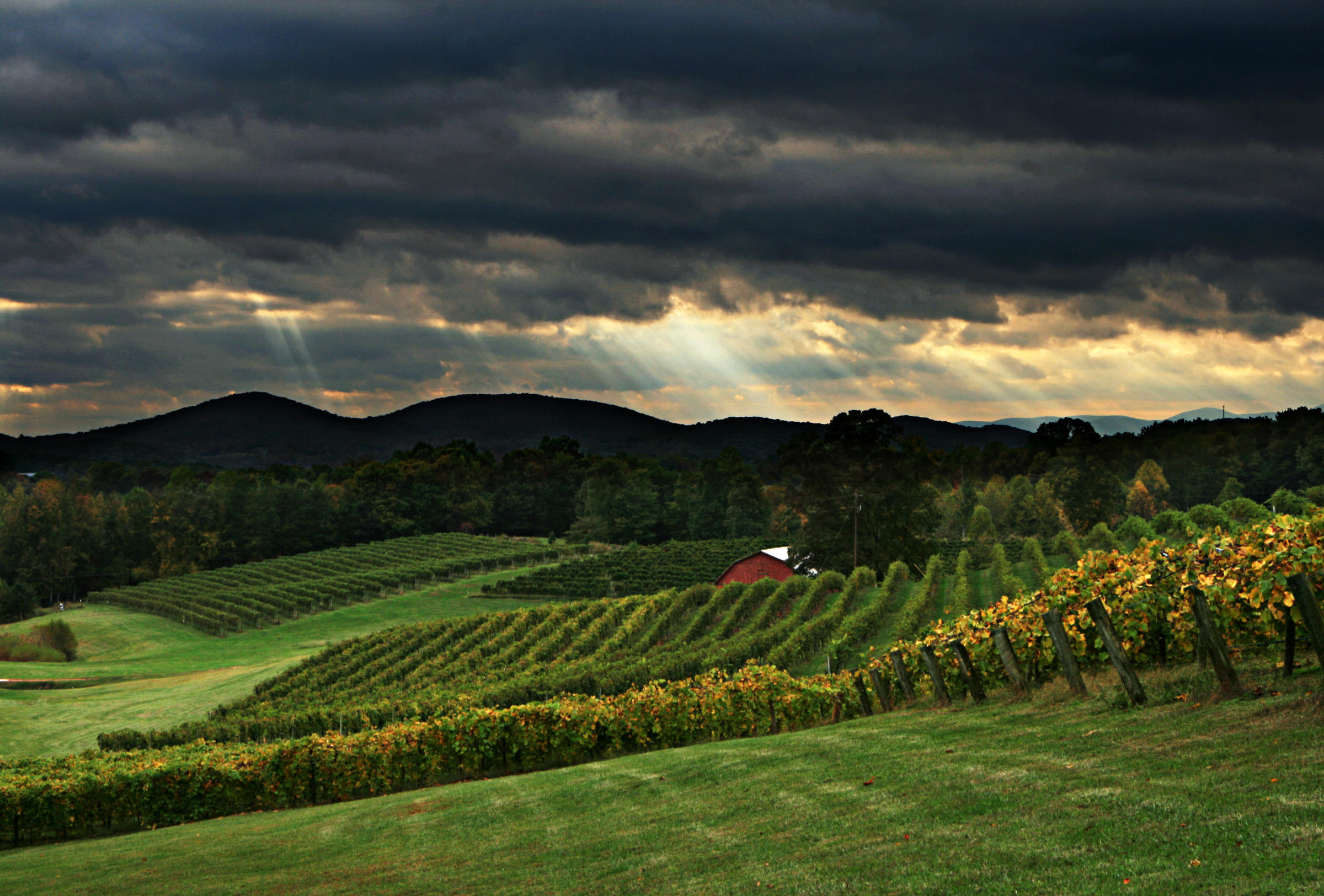 Image by Jason T. Baker - Flickr