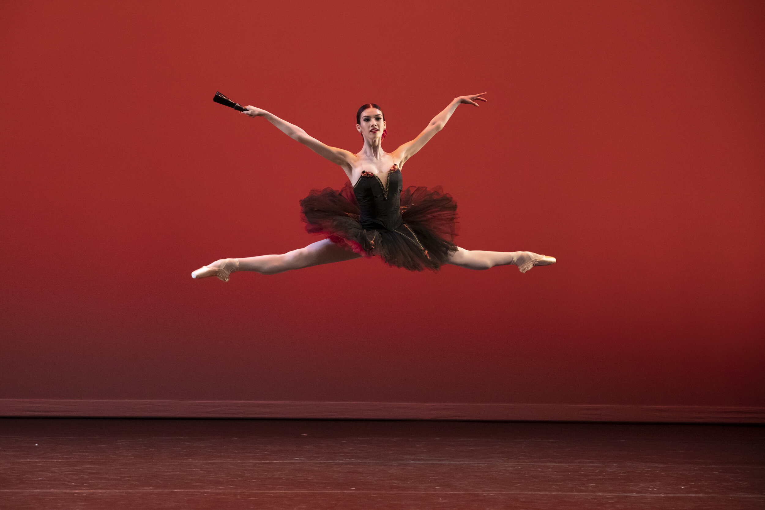 'Don Quixote, Photo by Erin Baiano' 2.jpg