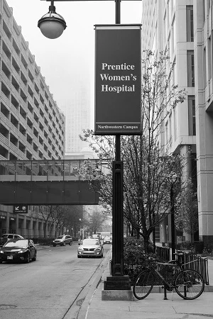 Hi-ho Hi-ho Hi-ho off to the Baby Factory We Go