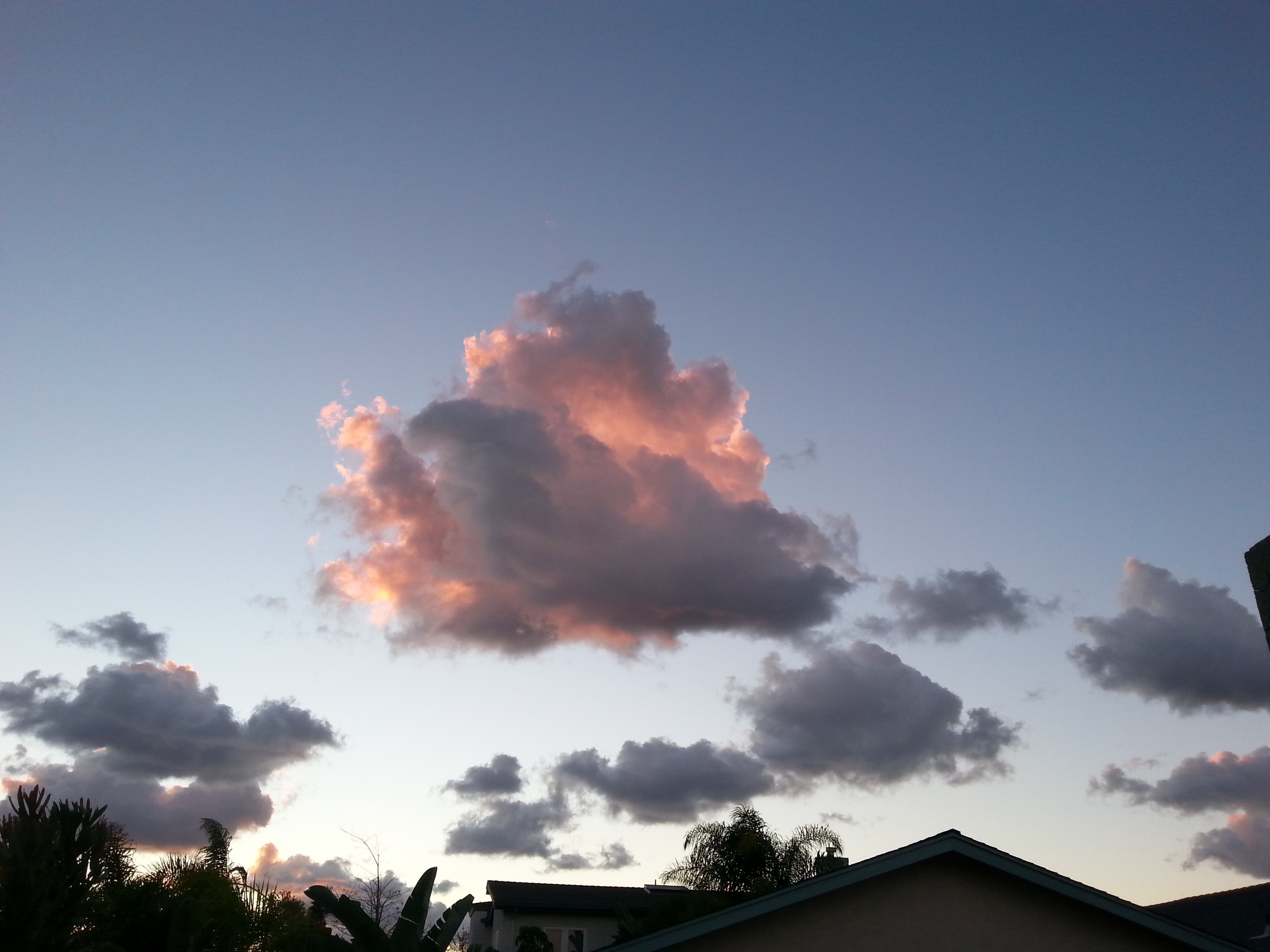 Suburban Pink Cloud 