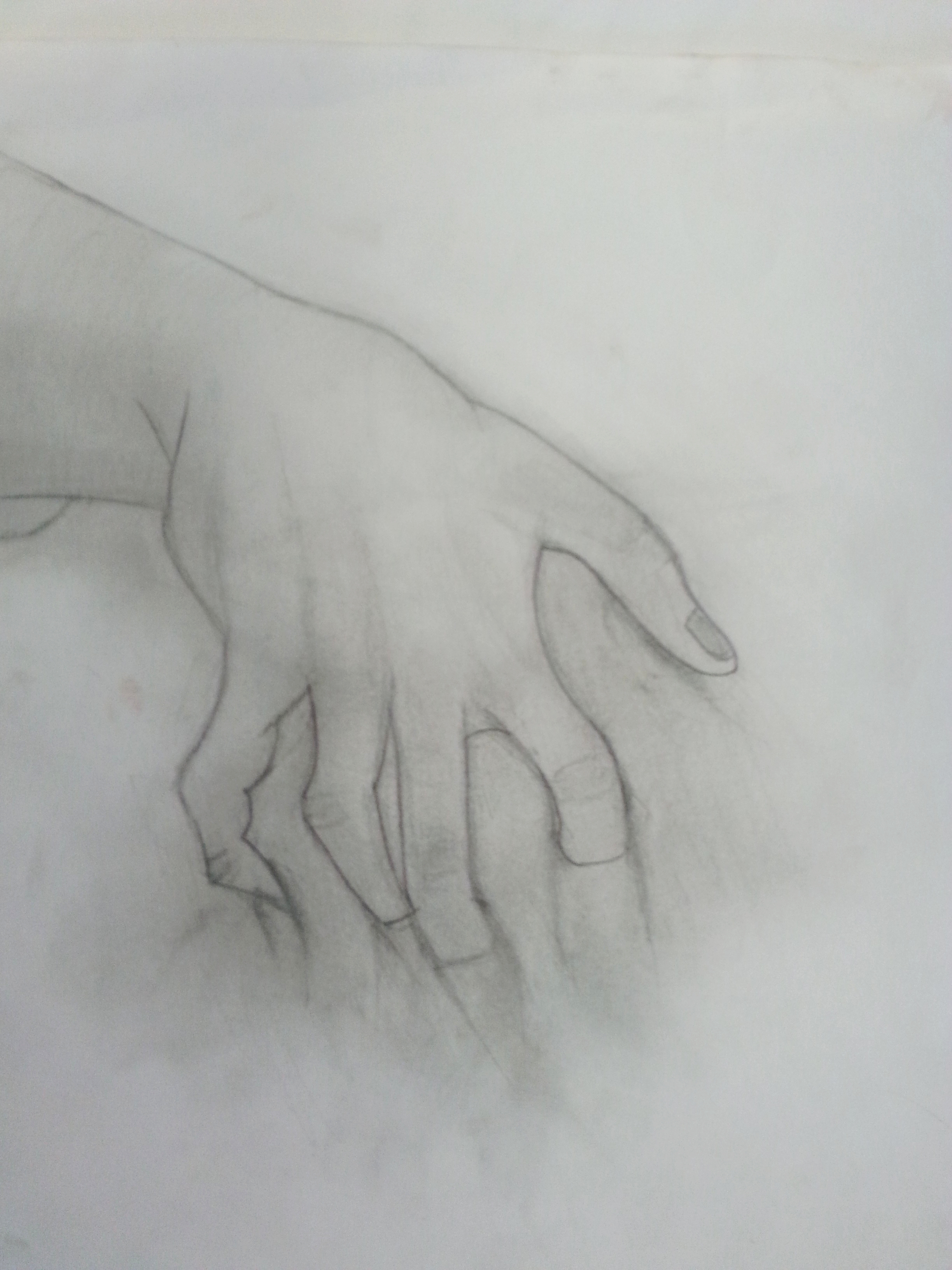 Hand Morph_Drawing.jpg