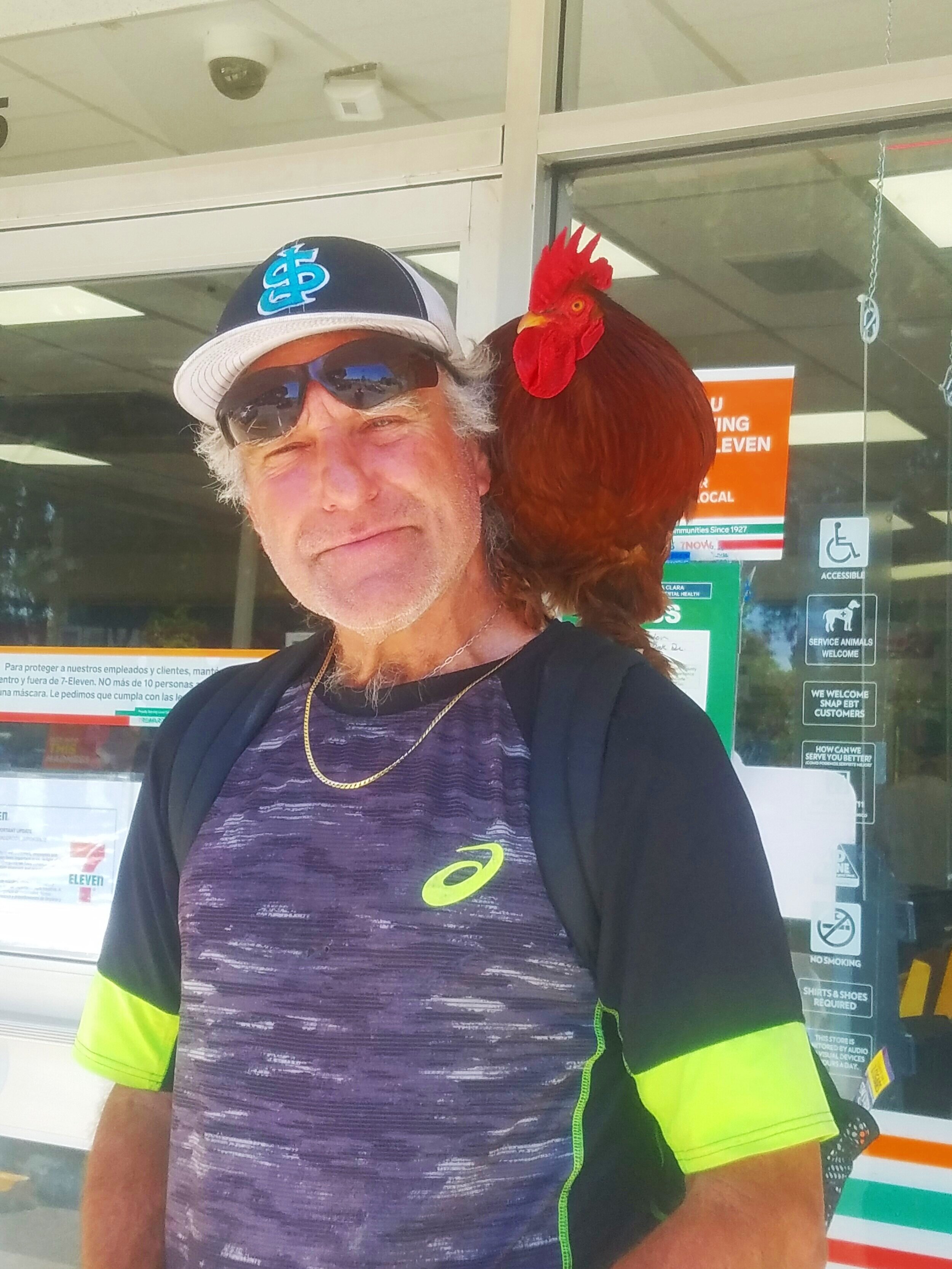 Man and Hs Rooster 7-11