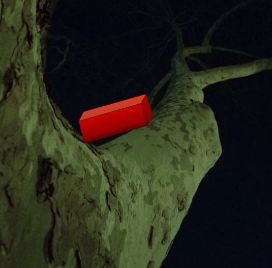 Box in the Tree