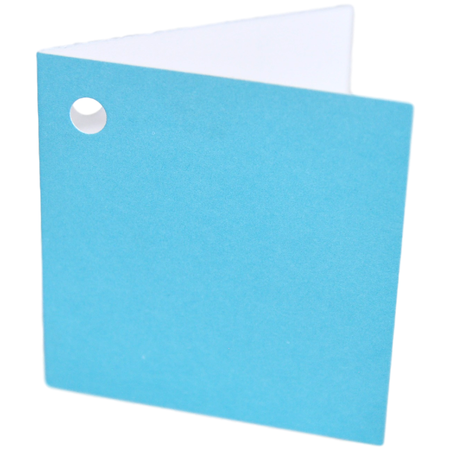 498-01-41_clipped_rev_1.png