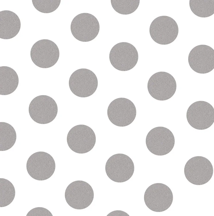 RC-471 Silver Dots.jpg