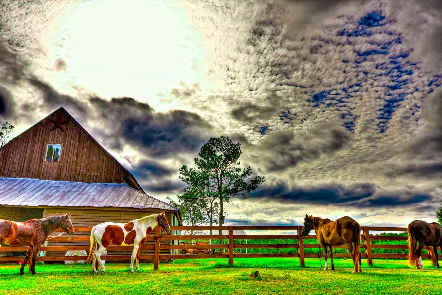 2009_10_24_00009-Edit_10-Edit_11-Edit-Edit.jpg