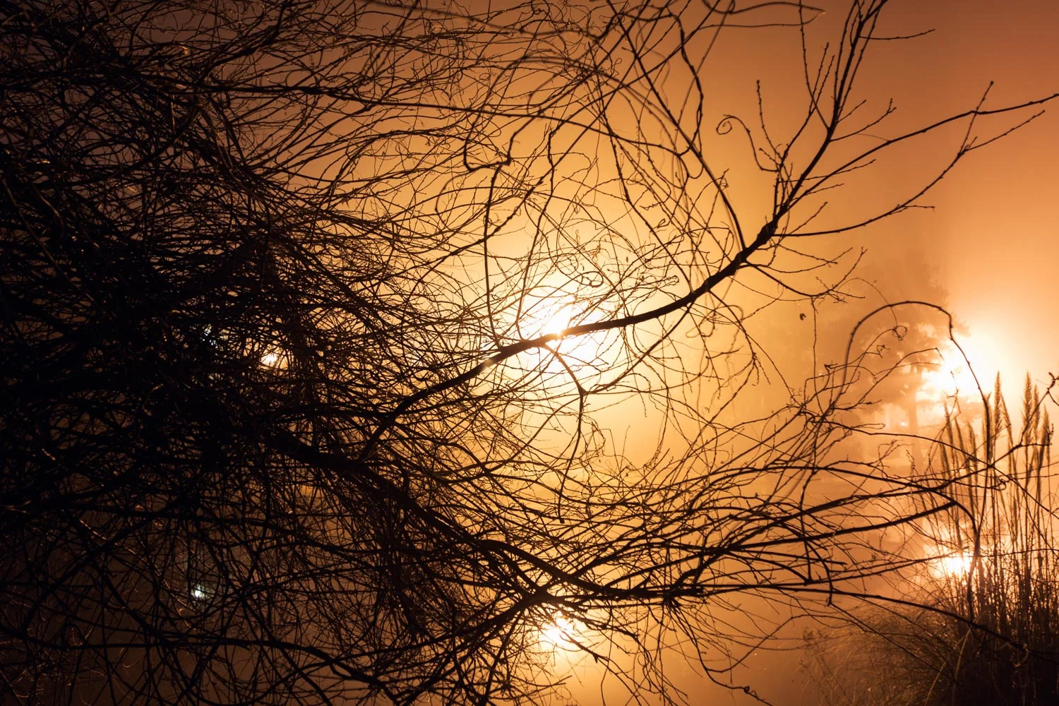 2008_12_19_4945.jpg