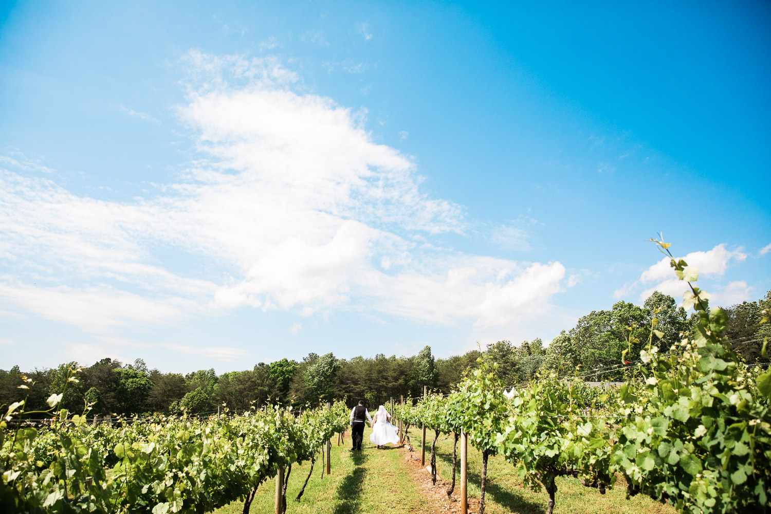 Canon EOS 5D Mark IV-20170506-1547471010.jpg