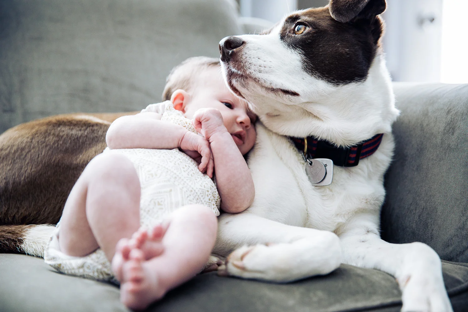 Canon EOS 5D Mark IV-20170903-1332322121-3.jpg